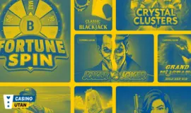 Olika casinospel och slots från spelutvecklaren Bgaming som nu har svensk licens